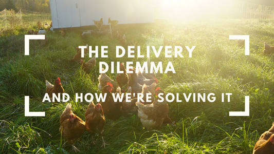 Delivery Dilemma: Why free delivery is hard, and how we're fixing it.