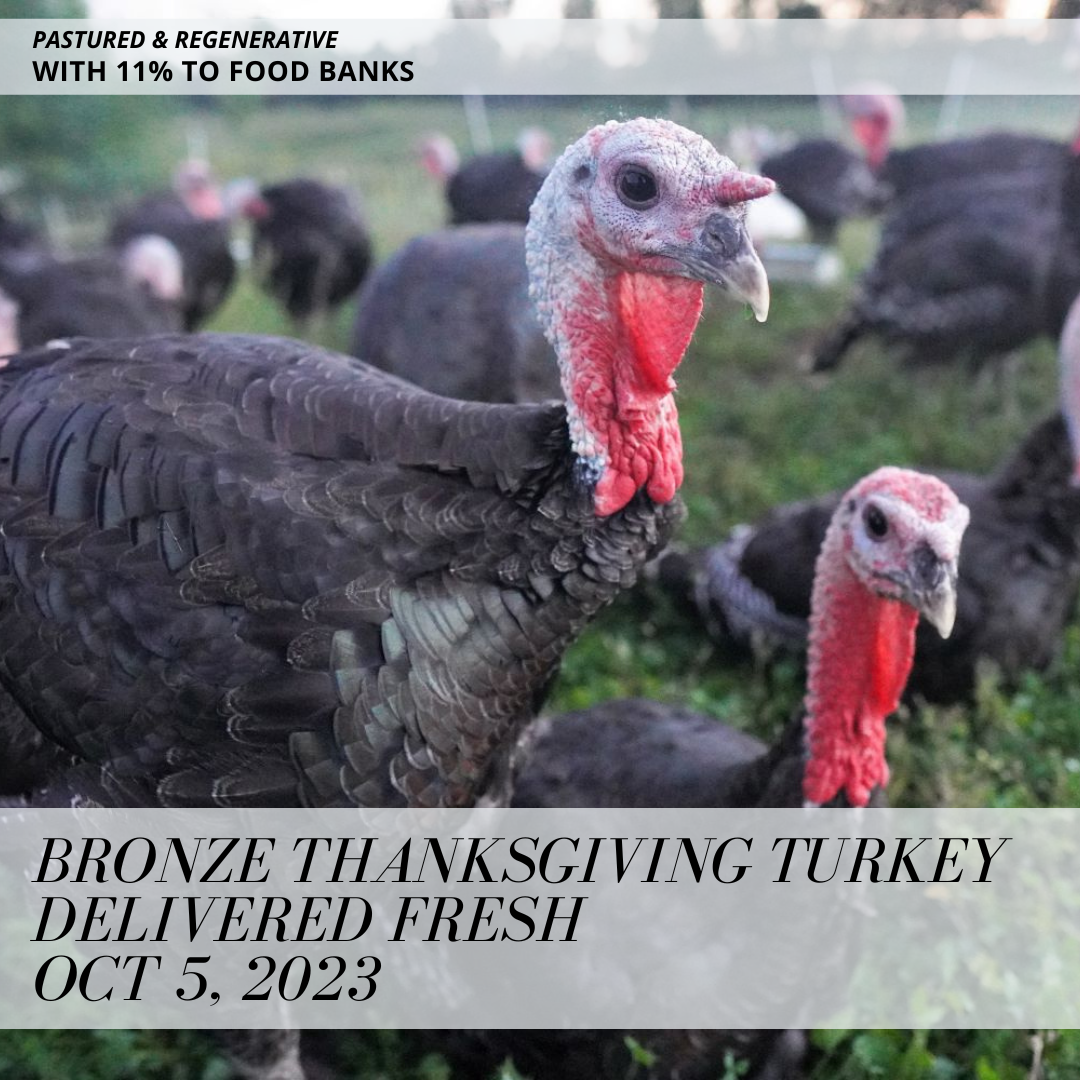 Deposit for a Bronze Thanksgiving Turkey - Pastured & Regenerative
