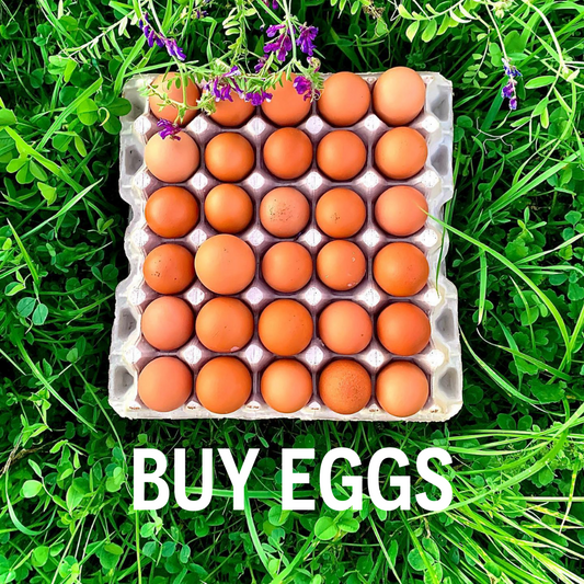 Regenerative Farm Fresh Eggs | Pasture-Raised Free Range | 12 & 30 Pack