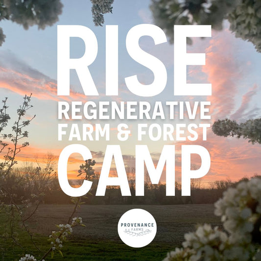 RISE Regenerative Farm & Forest Camp 2024