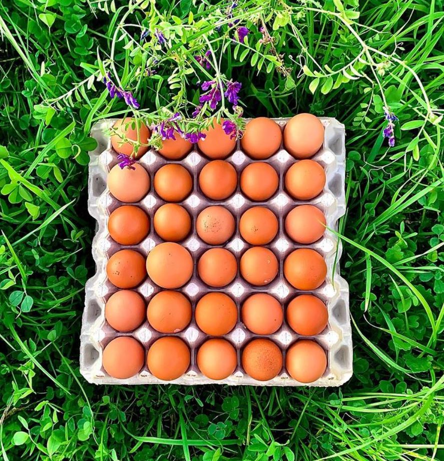 Assorted FLAT of Eggs (2.5 doz.) - Regenerative