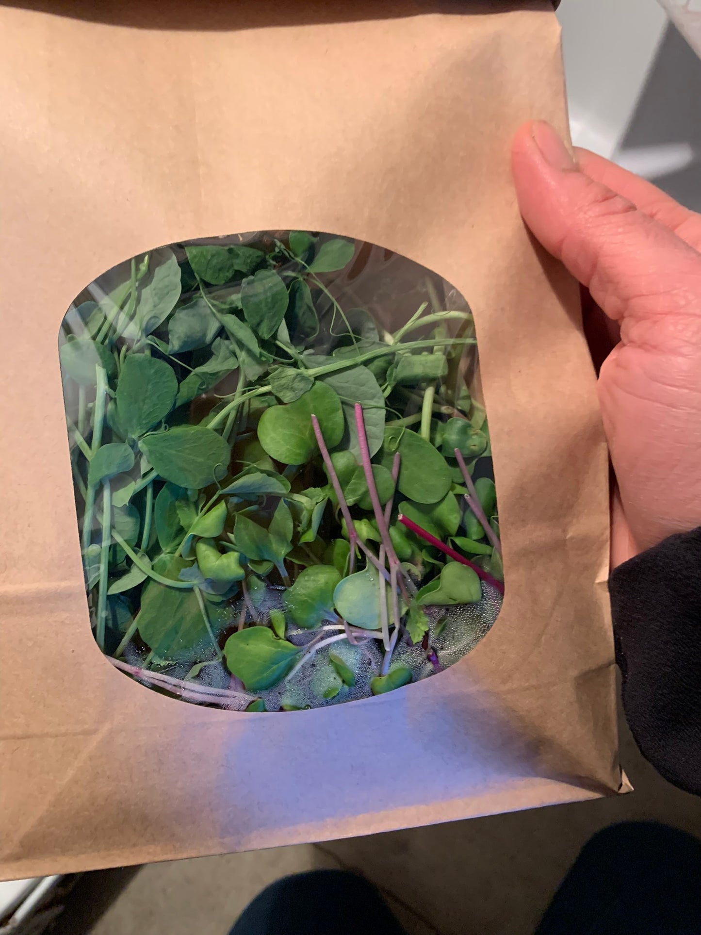 Microgreens Mix (Radish, Sunflower, Pea) 200g